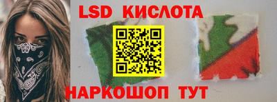 крисы Можга