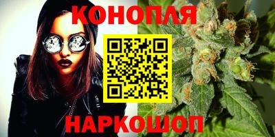 крисы Можга