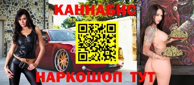 крисы Можга