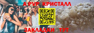 крисы Можга