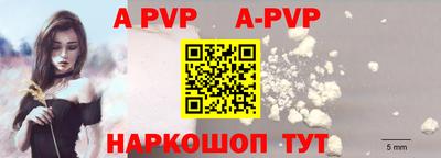 крисы Можга