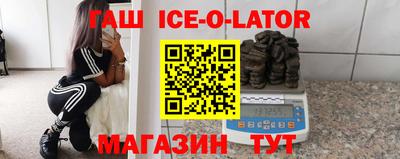 крисы Можга