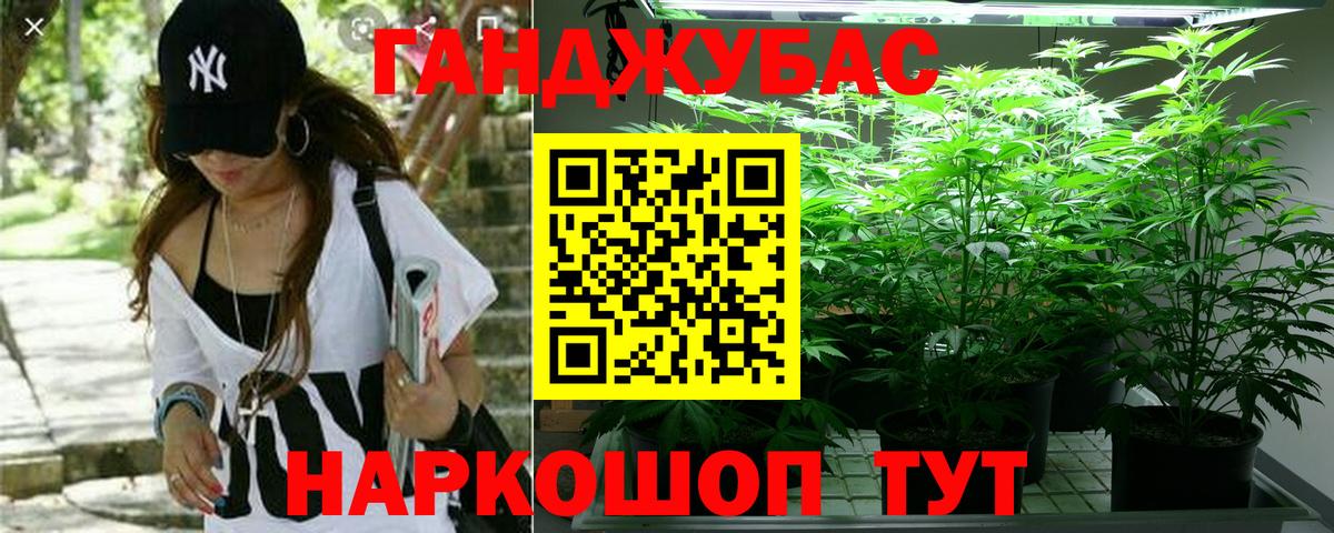 Шишки марихуана планчик  Конопля семена  Бошки марихуана OG Kush  Марихуана ГИДРОПОН  Вход с VPN  Горно-Алтайск 